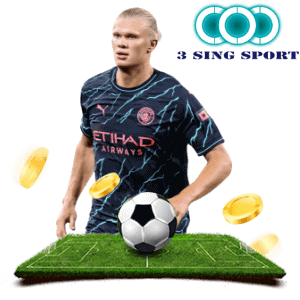 3 SING SPORT
