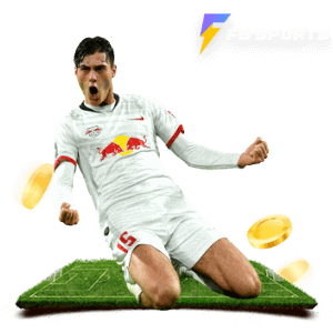 FB SPORTS